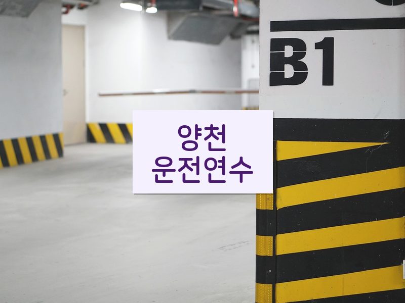 양천운전연수 후기