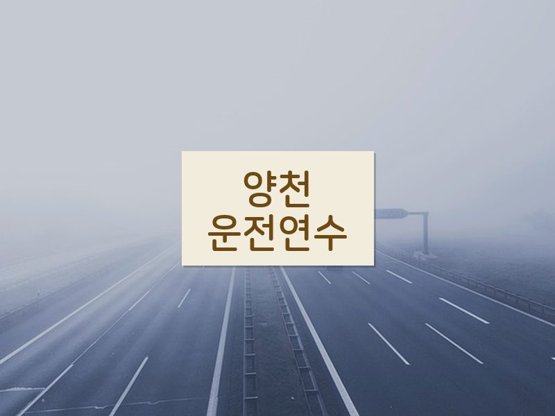 양천운전연수 후기
