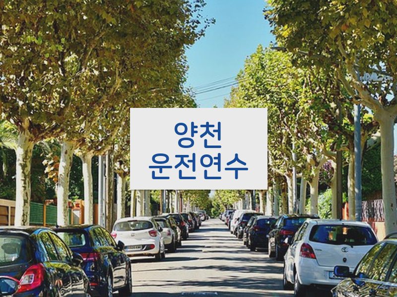 양천운전연수 후기