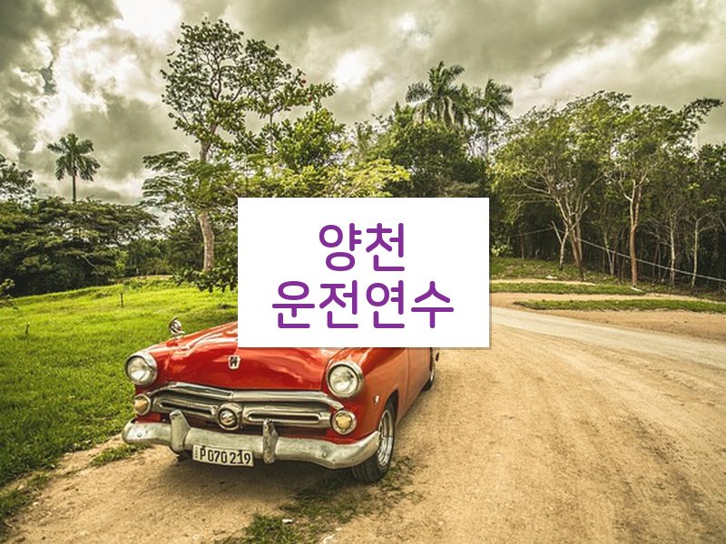양천운전연수 후기