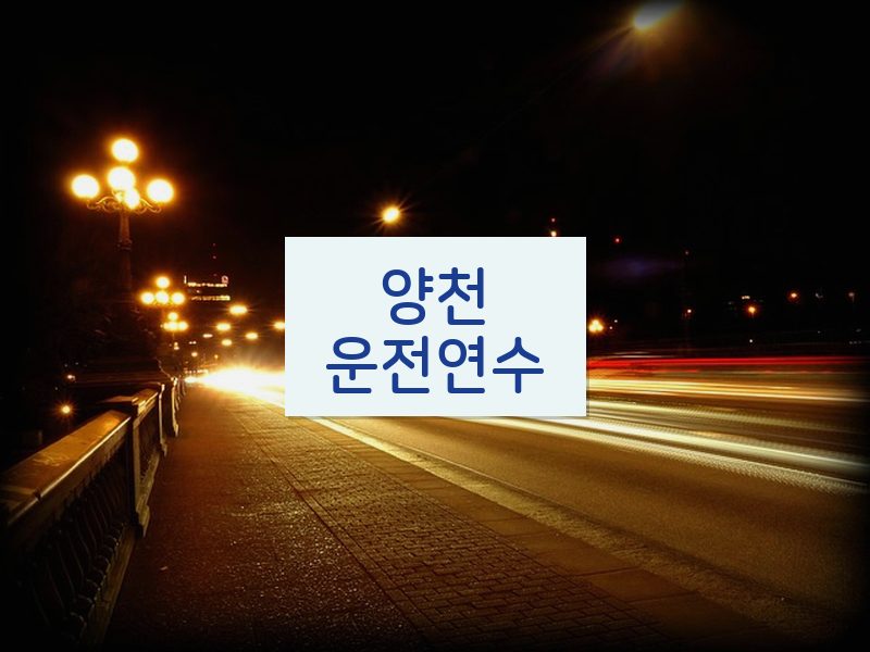 양천운전연수 후기