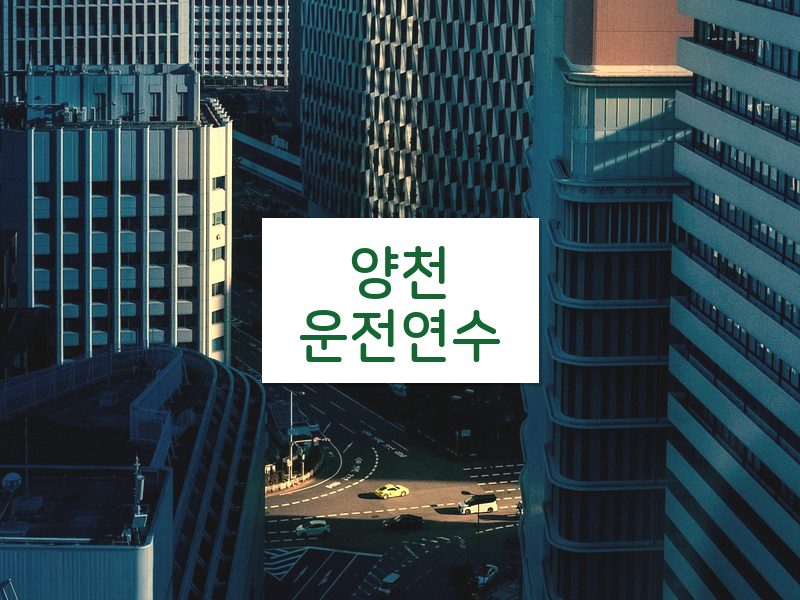 양천운전연수 후기
