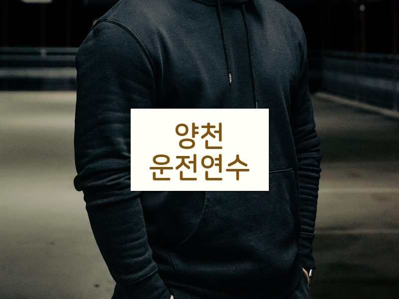 양천운전연수 후기