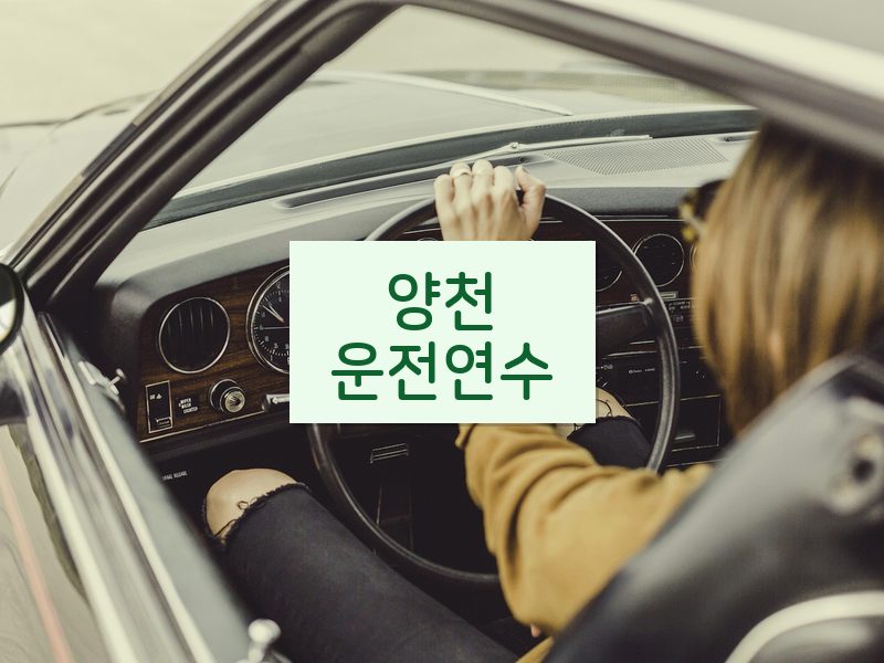 양천운전연수 후기