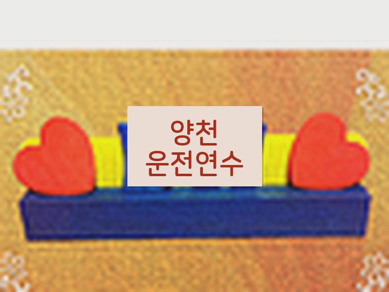 양천운전연수 후기