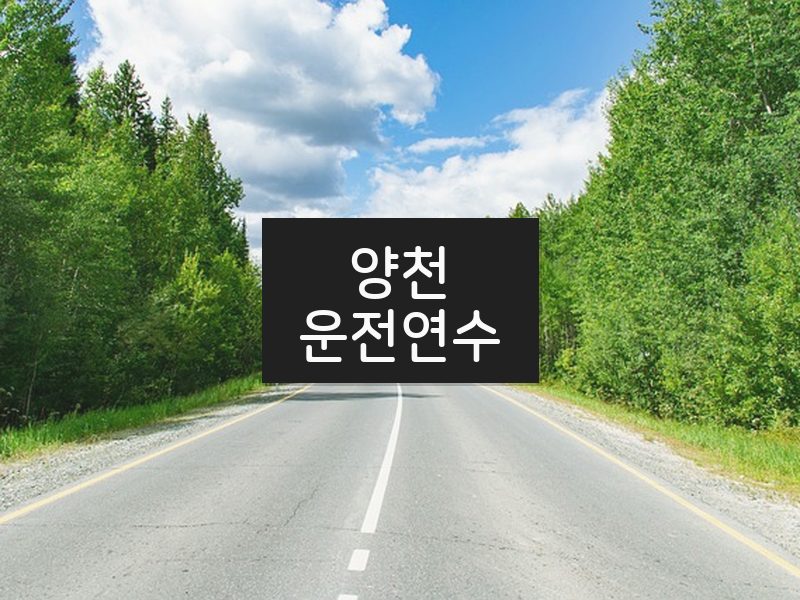 양천운전연수 후기