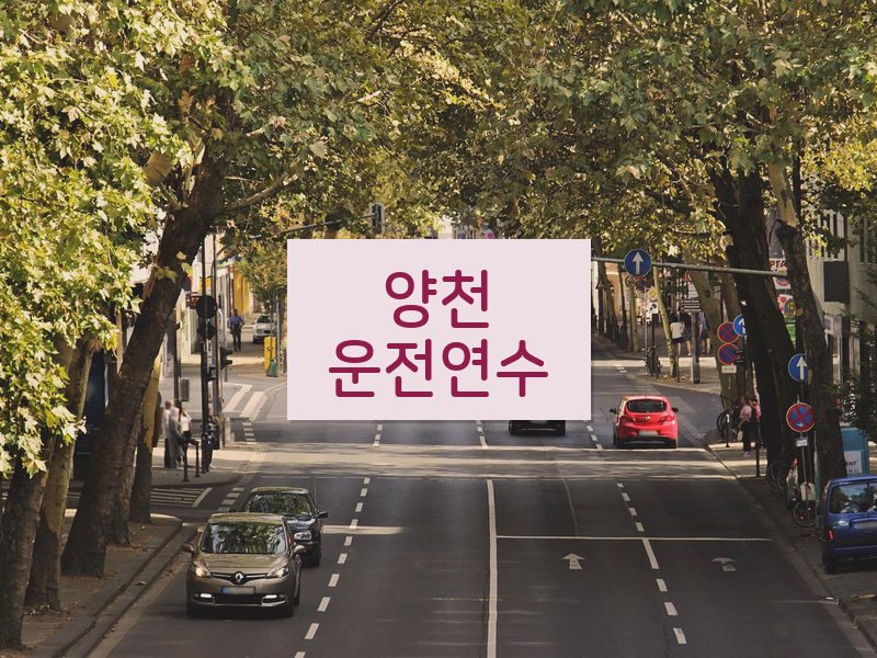 양천운전연수 후기