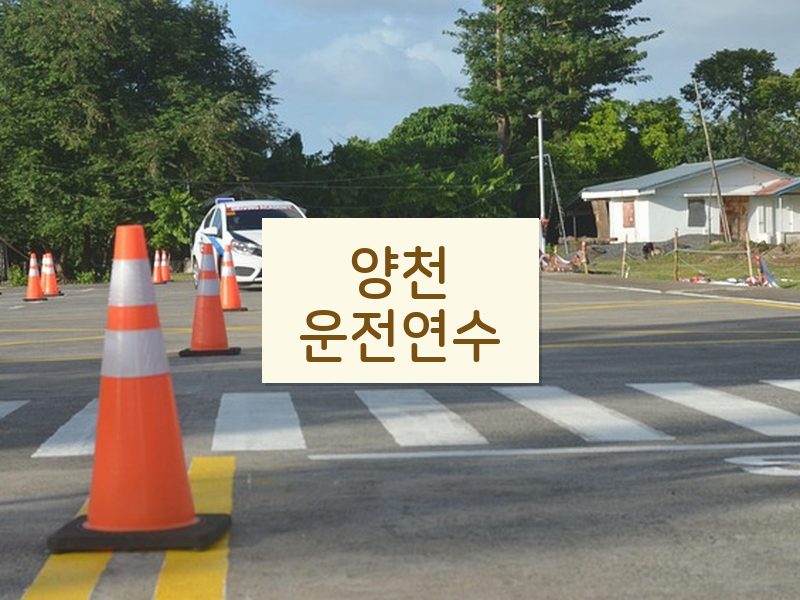 양천운전연수 후기