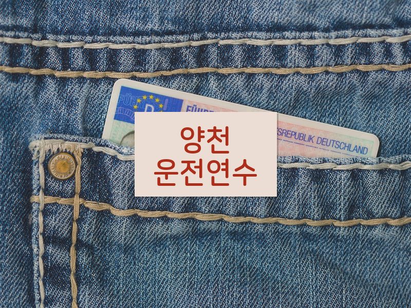 양천운전연수 후기