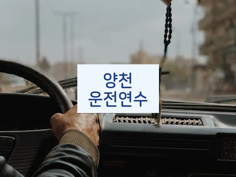 양천운전연수 후기