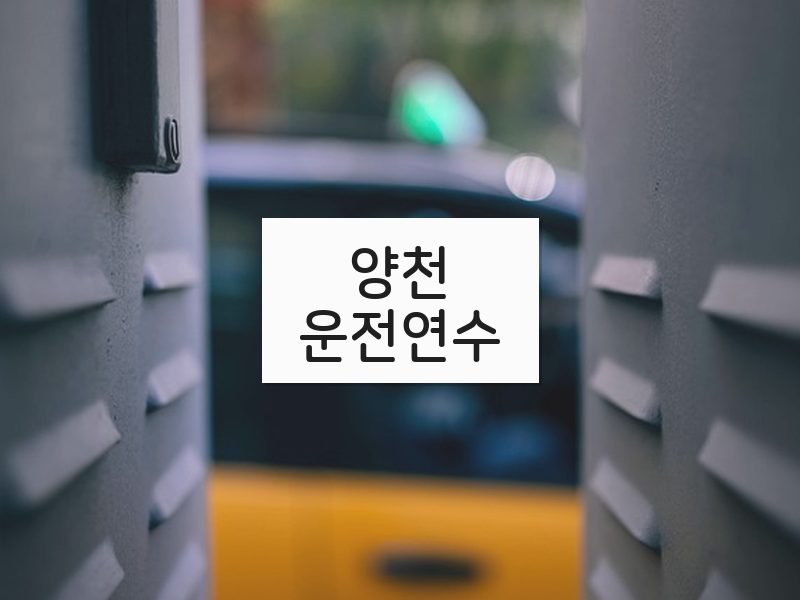 양천운전연수 후기