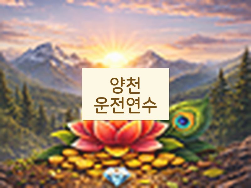 양천운전연수 후기