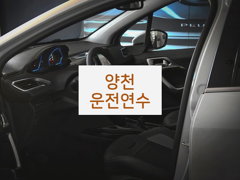 양천운전연수 후기