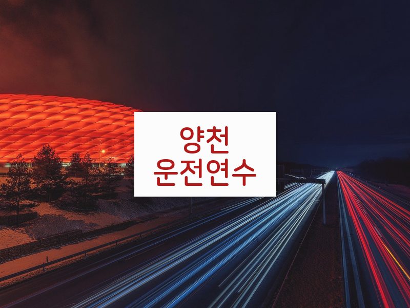 양천운전연수 후기