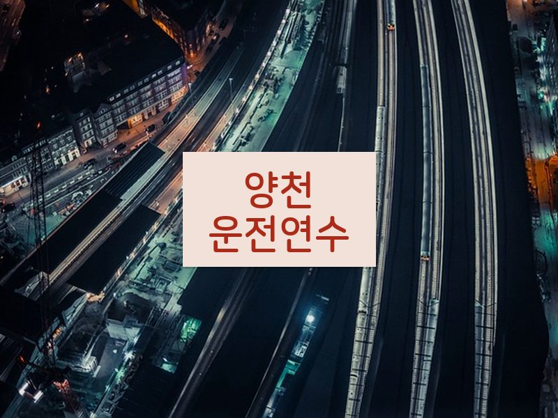 양천운전연수 후기