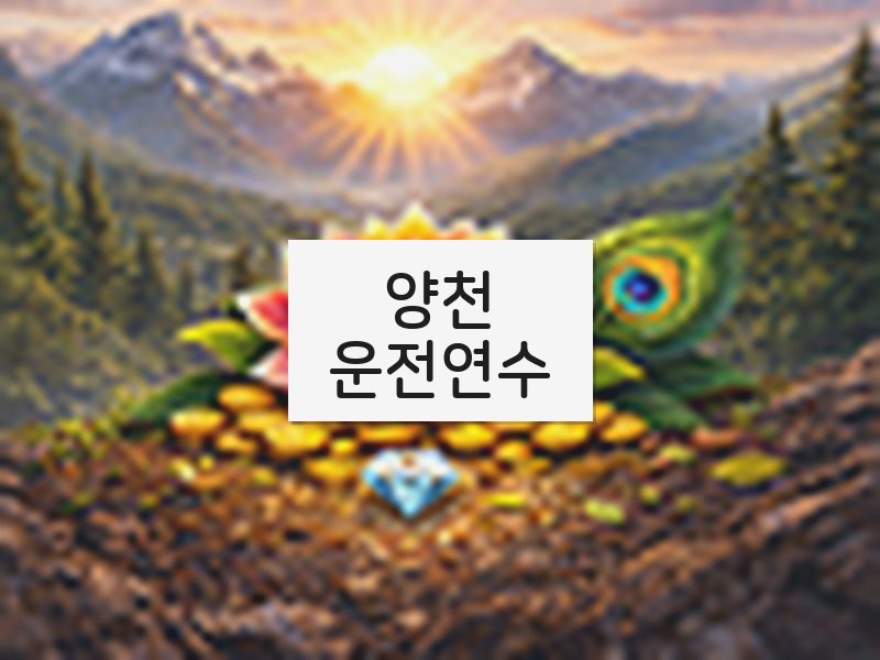 양천운전연수 후기