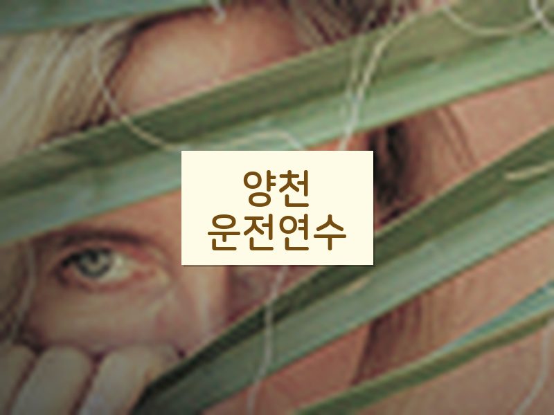 양천운전연수 후기