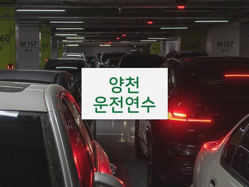양천운전연수 후기