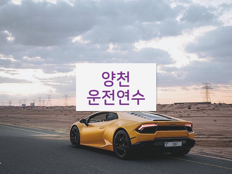 양천운전연수 후기