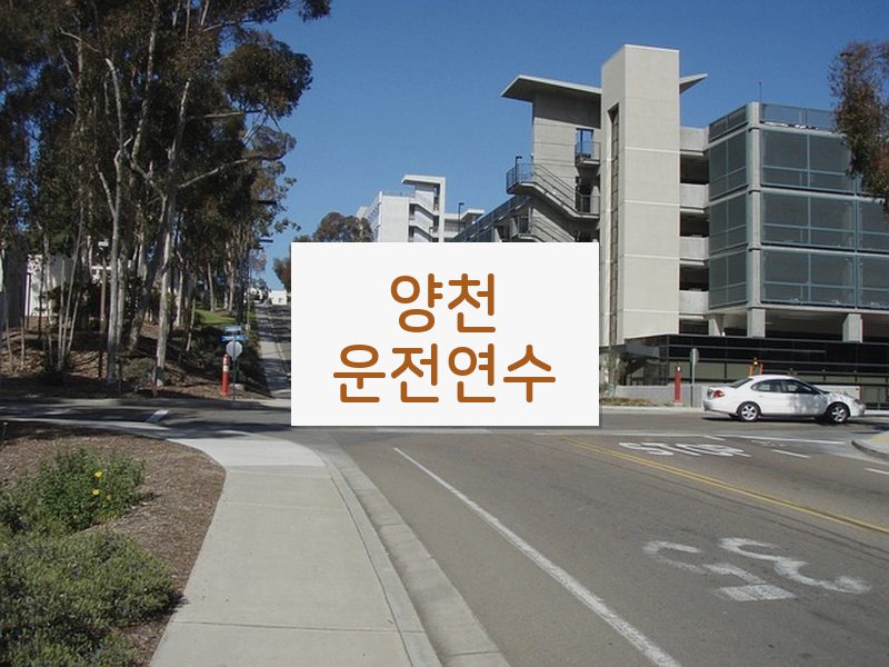 양천운전연수 후기
