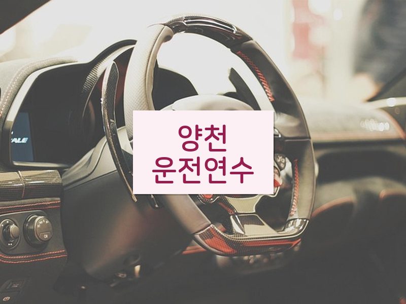 양천운전연수 후기
