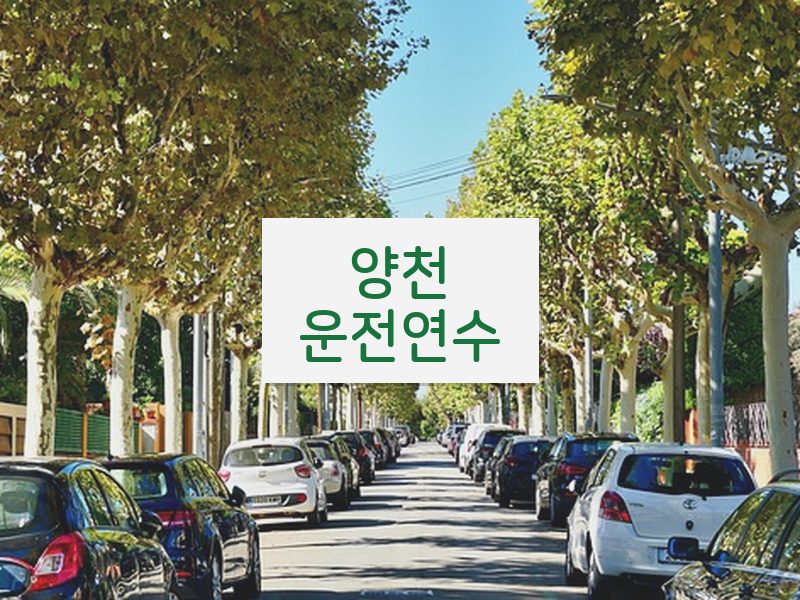 양천운전연수 후기