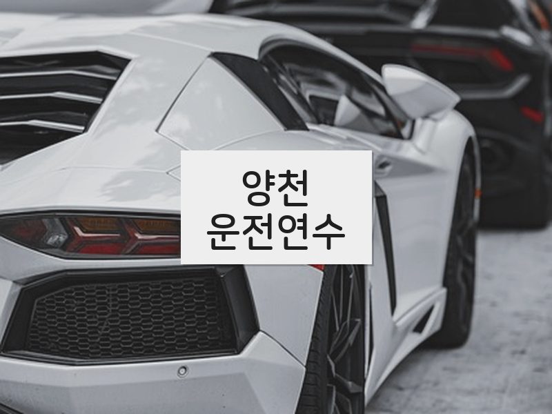 양천운전연수 후기
