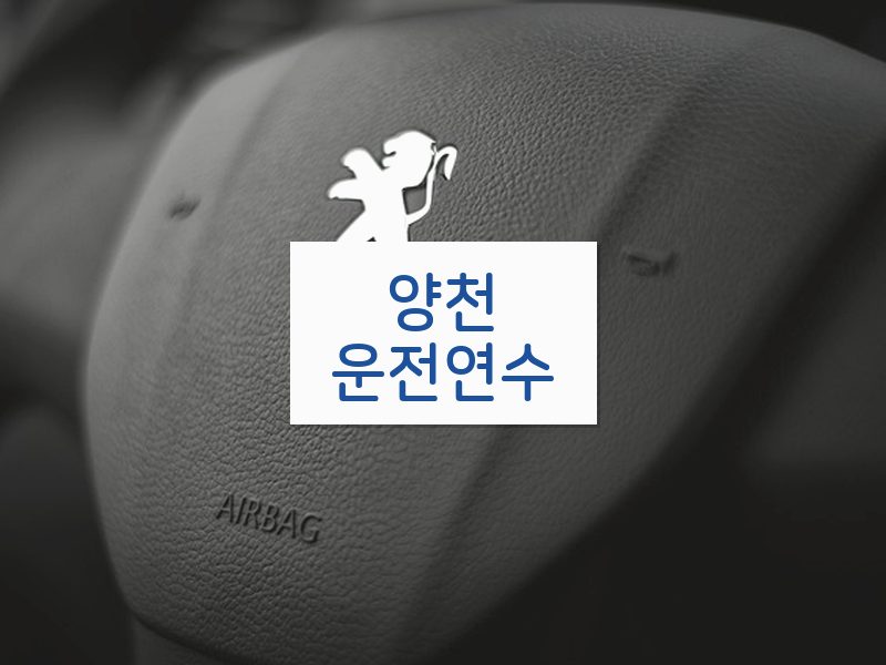양천운전연수 후기