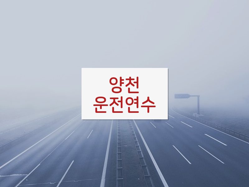 양천운전연수 후기