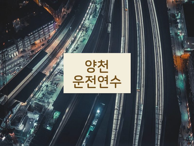 양천운전연수 후기