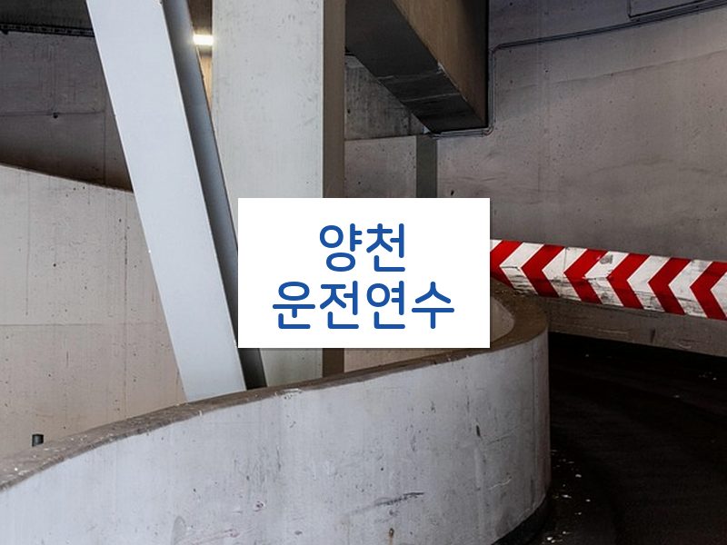 양천운전연수 후기