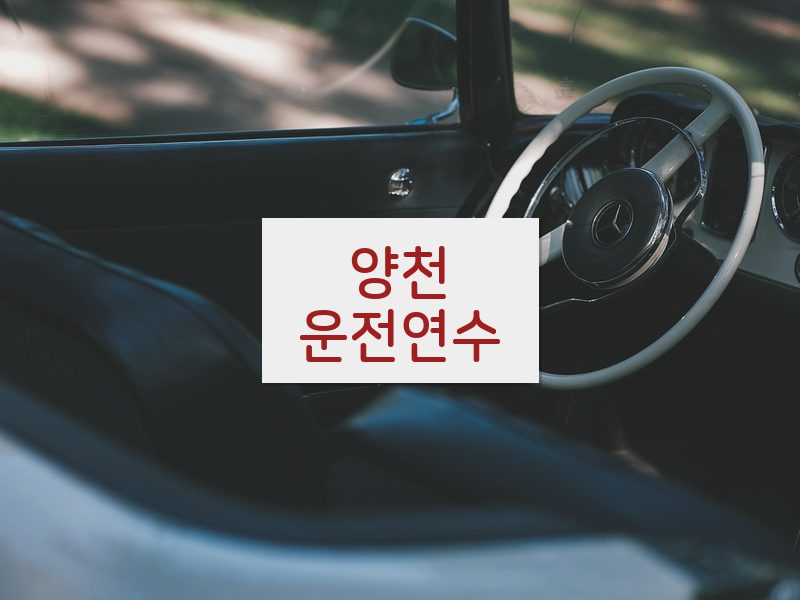 양천운전연수 후기
