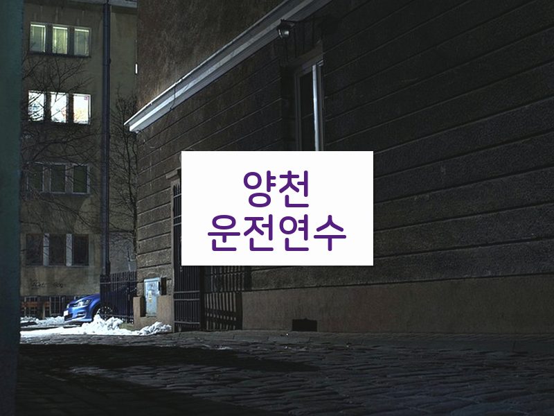 양천운전연수 후기