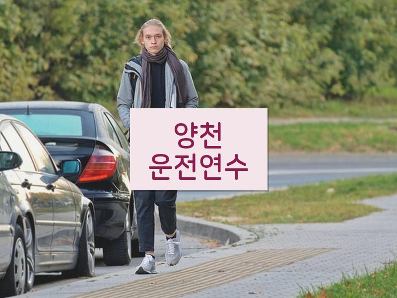 양천운전연수 후기