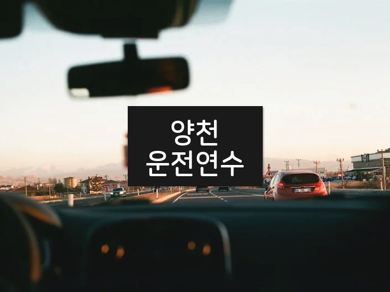 양천운전연수 후기
