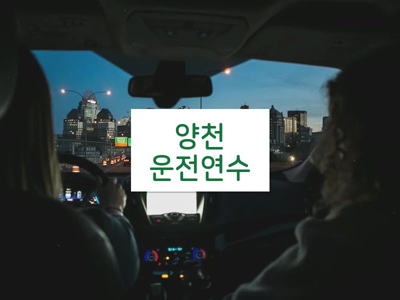 양천운전연수 후기