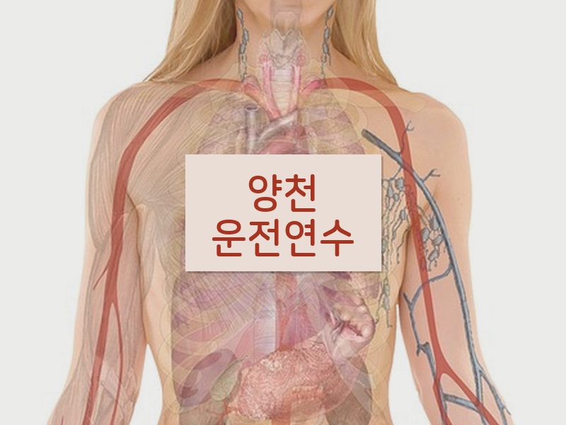 양천운전연수 후기