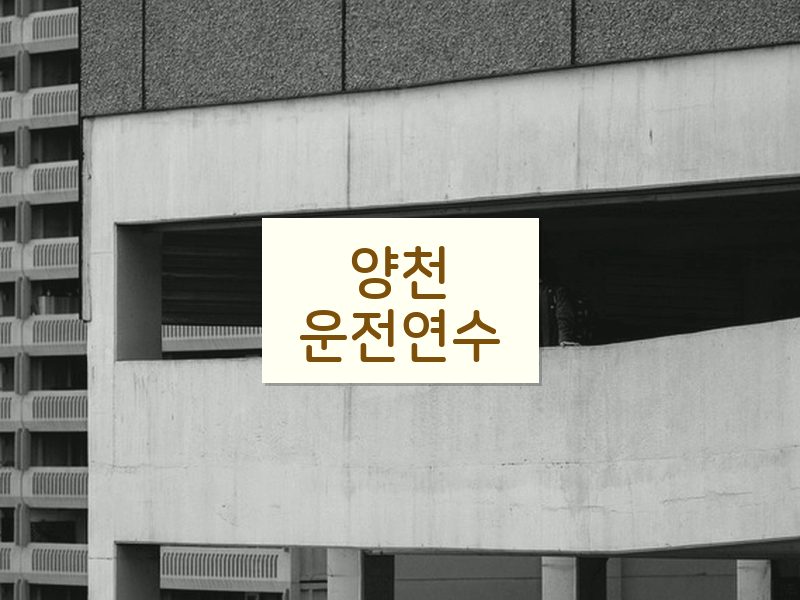 양천운전연수 후기