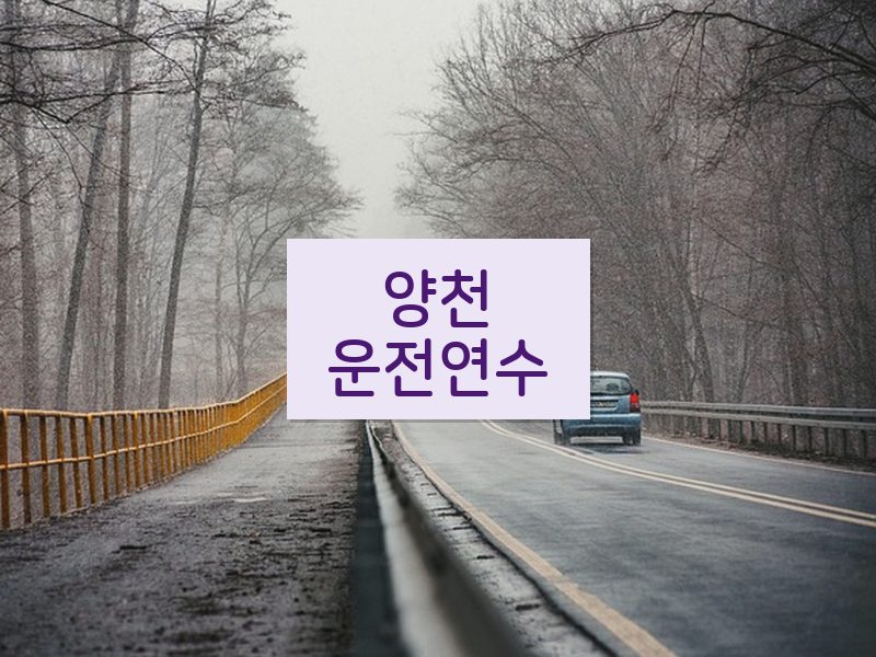 양천운전연수 후기