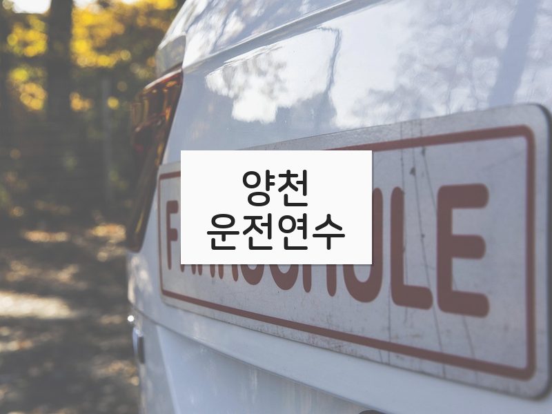 양천운전연수 후기
