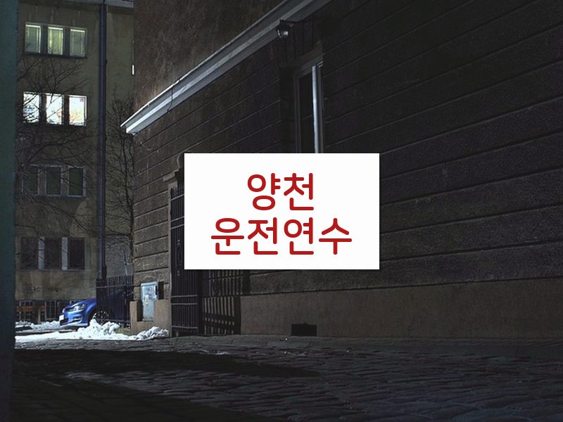 양천운전연수 후기