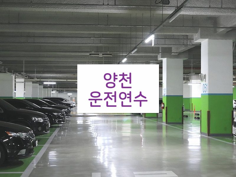 양천운전연수 후기