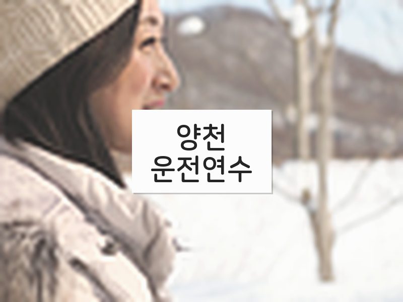 양천운전연수 후기