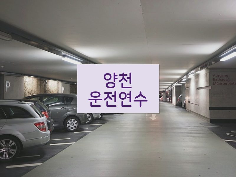 양천운전연수 후기