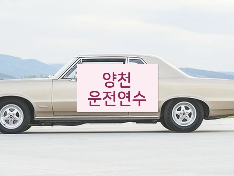 양천운전연수 후기