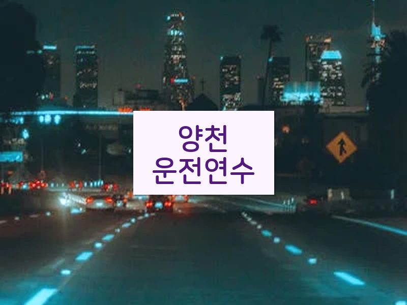 양천운전연수 후기