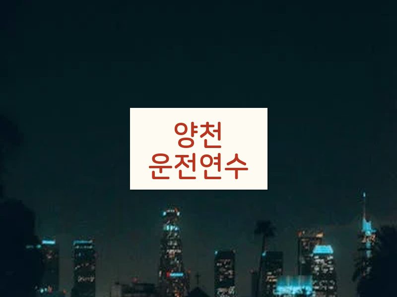 양천운전연수 후기
