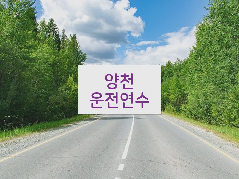 양천운전연수 후기