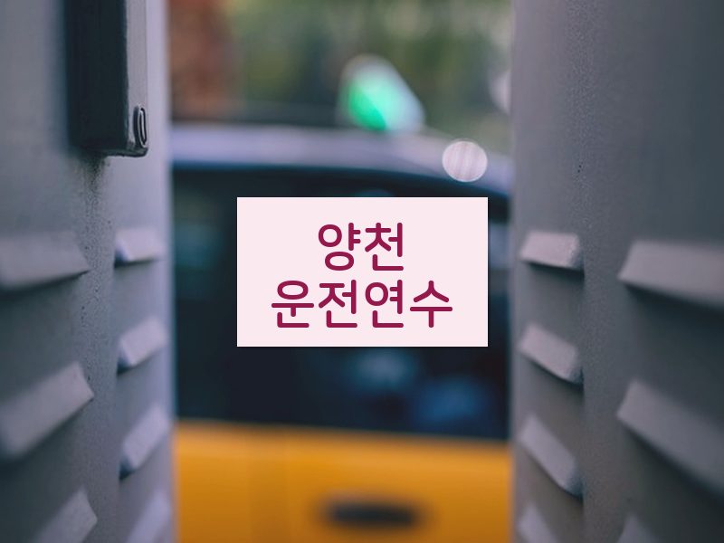 양천운전연수 후기