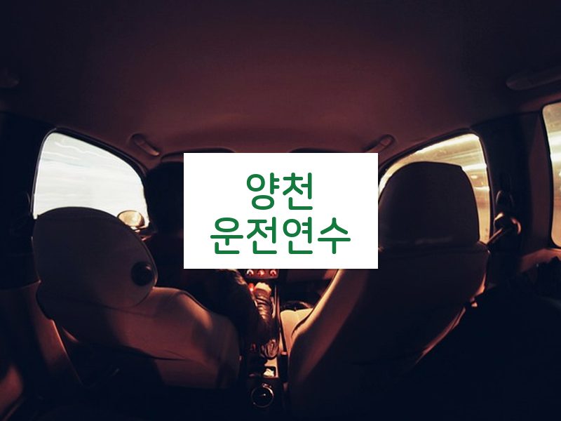 양천운전연수 후기